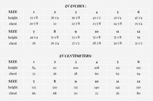 Load image into Gallery viewer, Ruffle Blouse