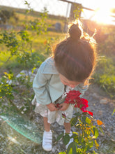 Load image into Gallery viewer, Classic Coat