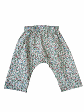 Load image into Gallery viewer, Frankie