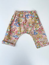 Load image into Gallery viewer, Frankie